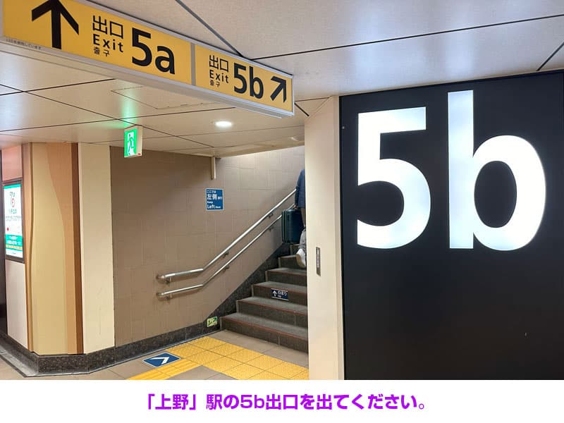 「上野」駅の 5b 出口を出てください。